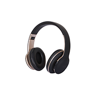 Bluetooth Headphone  EEB8760B