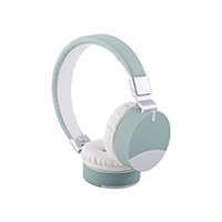 Stereo Headphone EEB8868