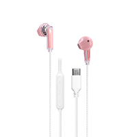 Type C Stereo Earphone EEB9301C